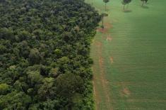COP30 in Brazil: Agribusiness sector seeks to posi ..
