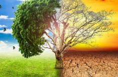 Experts call for strong climate adaptation to safe ..