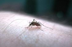 Tahira Aurangzeb inspects anti-dengue campaign in ..