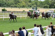43 horses compete in Wathba Stallions races at Mon ..