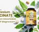 Herbiotics Magnesium Glycinate: The Most Absorbable Form of Magne ..