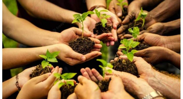 Two week long tree plantation campaign starts at QUEST University.