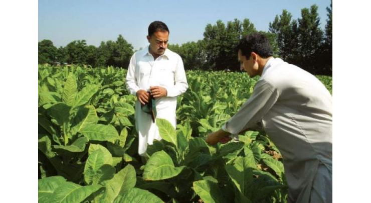 PTB warns companies over delayed procurement