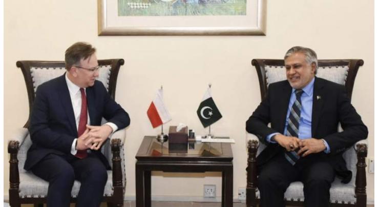 Pakistan, Poland discuss enhancing bilateral cooperation in energy sector