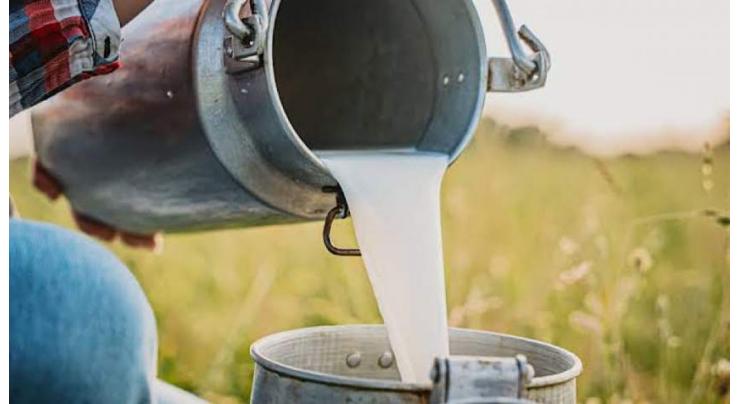40 milk samples checked in Garhi Habibullah, 4 found adulterated