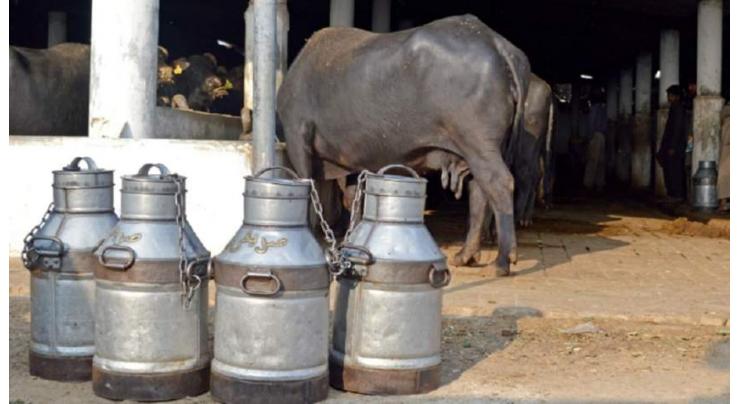 Crackdown intensified against substandard meat, adulterated milk