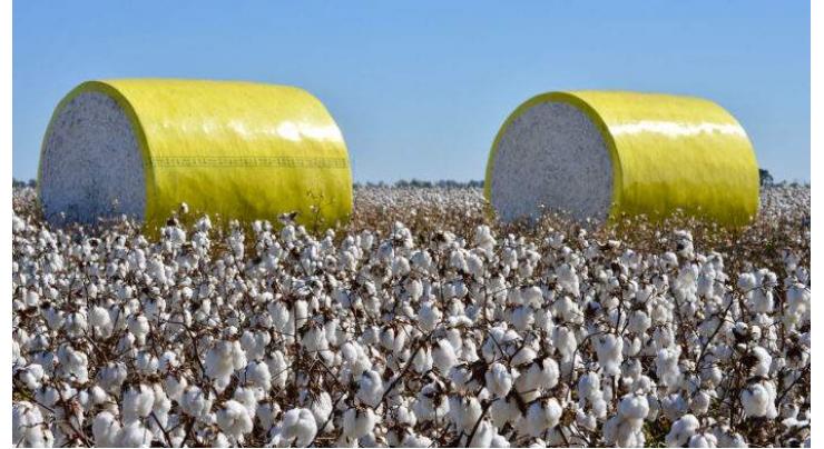 Pakistan's cotton yarn exports to China surpass $203 million in first half of this year