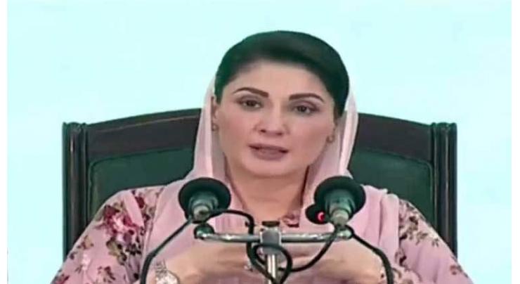 CM Maryam paying special focus on agri sector development: Minister Kirmani