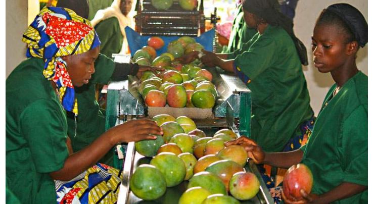 Mango growers trained on value addition to boost exports
