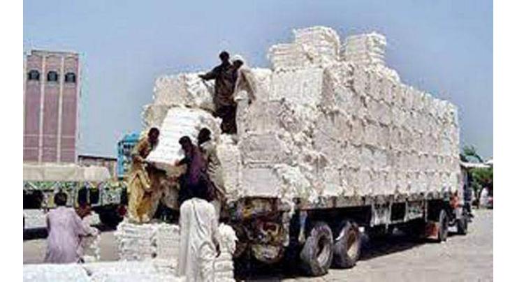 Over 1m cotton bales arrival recorded at ginneries till Aug 15