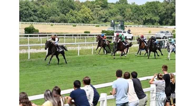 43 horses compete in Wathba Stallions races at Mont-de-Marsan Racecourse tomorrow in France
