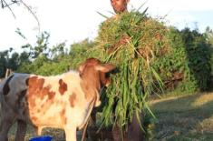 Fodder, water supplies to relief camps being ensur ..