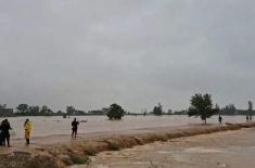 Floods devastate Jalalpur Pirwala after embankment ..