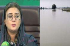 Punjab’s flood crisis worsens as 4.2 million peo ..