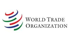 AI to boost trade by nearly 40% by 2040: WTO