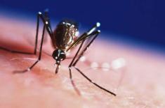 Anti-dengue measures discussed in Chiniot meeting