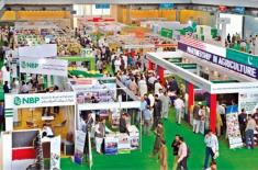 Organic growers of Parsacha emerges brightly at th ..
