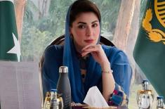 PML-N earns its worth through public service: CM M ..