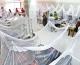 25 new dengue cases reported in Islamabad within 24 hours