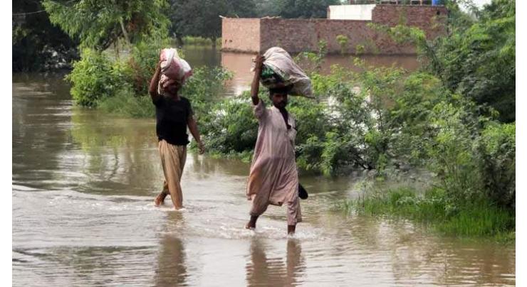 Govt plans electricity bill relief for flood-hit areas