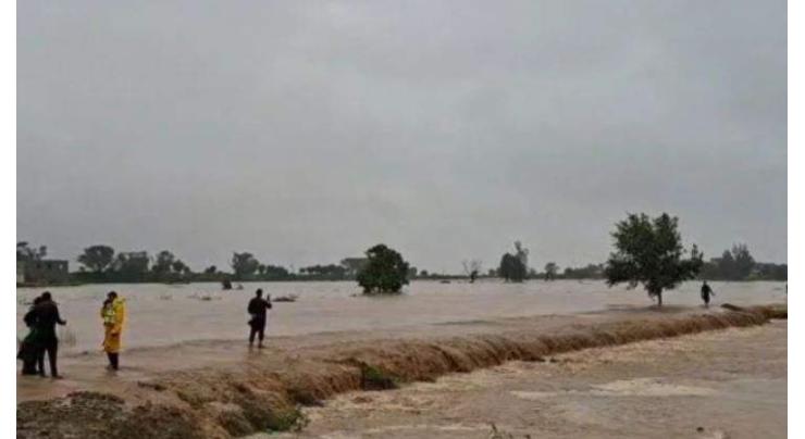 Multan at risk as South Punjab faces critical flood situation, warns DG PDMA