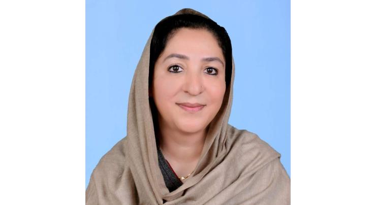 Wajiha Qamar holds meeting with Director General of Cabinet at ICYF