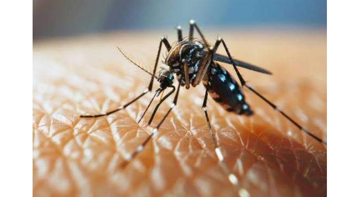 Dengue cases rise in Islamabad, 12 new patients reported