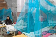 Over 215,000 malaria cases reported across Sindh