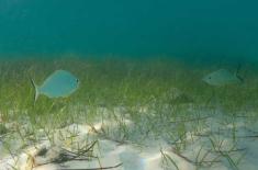 Environment Agency – Abu Dhabi partners with Tot ..
