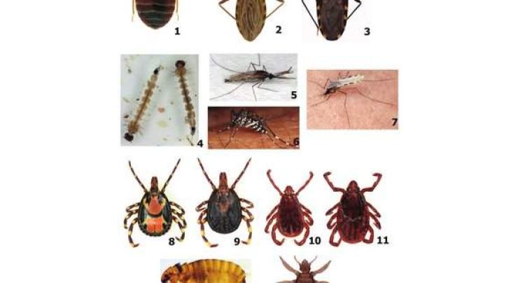 Arthropods responsible for 50pcdiseases: experts