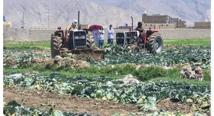 Balochistan Food Authority intensifies crackdown on unsafe food practices