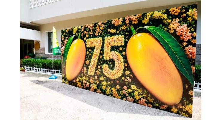 Pakistan embassy in Beijing organizes mango festival to celebrate 75 years of diplomatic ties
