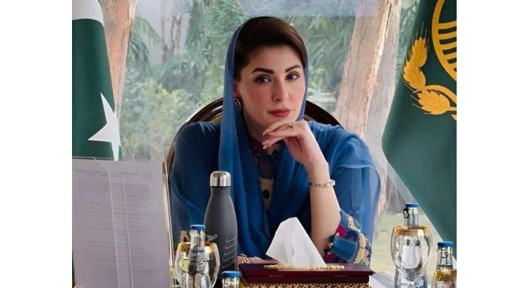 National unity, peace govt's top priorities: Punjab Chief Minister Maryam Nawaz Sharif