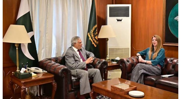 British High Commissioner Jane Marriott called on Deputy Prime Minister/Foreign Minister Senator Mohammad Ishaq Dar discuss Pakistan-UK ties