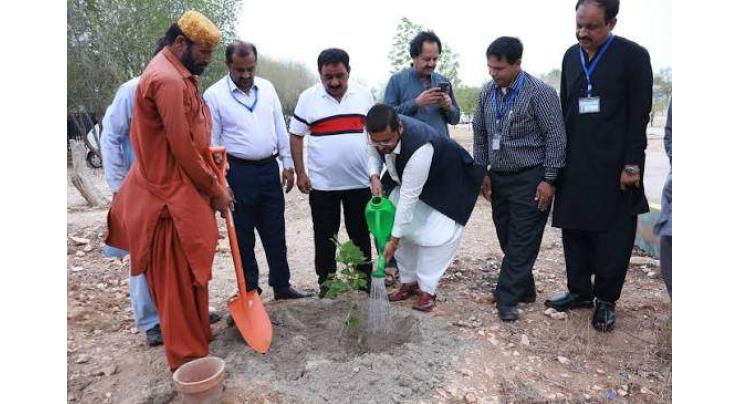 MUET Jamshoro Commences Fortnight-long Independence Day Celebrations