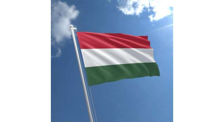 Hungary Visa From Pakistan - 2024 Visa Requirements, Process & Documents