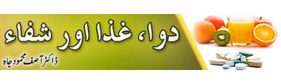 https://photo-cdn.urdupoint.com/show_img_new/books/bookImages/102/400x120/102_logo.gif._2 in Urdu