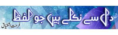 https://photo-cdn.urdupoint.com/show_img_new/books/bookImages/110/400x120/110_logo.gif._2 in Urdu