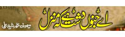 https://photo-cdn.urdupoint.com/show_img_new/books/bookImages/118/400x120/118_logo.gif._2 in Urdu