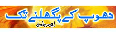 https://photo-cdn.urdupoint.com/show_img_new/books/bookImages/121/400x120/121_logo.gif._2 in Urdu