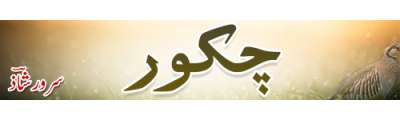 https://photo-cdn.urdupoint.com/show_img_new/books/bookImages/122/400x120/122_logo.gif._2 in Urdu