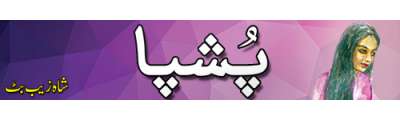https://photo-cdn.urdupoint.com/show_img_new/books/bookImages/123/400x120/123_logo.gif._2 in Urdu