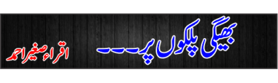 https://photo-cdn.urdupoint.com/show_img_new/books/bookImages/144/400x120/144_logo.gif._2 in Urdu