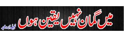 https://photo-cdn.urdupoint.com/show_img_new/books/bookImages/165/400x120/165_logo.gif._2 in Urdu