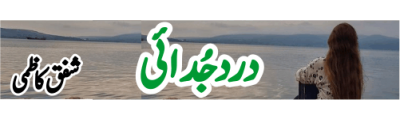 https://photo-cdn.urdupoint.com/show_img_new/books/bookImages/173/400x120/173_logo.gif._2 in Urdu