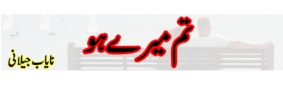 https://photo-cdn.urdupoint.com/show_img_new/books/bookImages/178/400x120/178_logo.gif._2 in Urdu