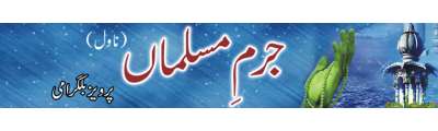 https://photo-cdn.urdupoint.com/show_img_new/books/bookImages/72/400x120/72_logo.gif._2 in Urdu