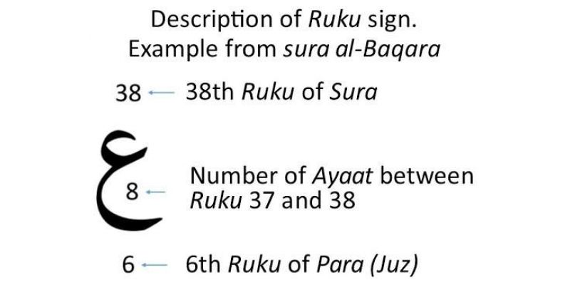 Total Ruku in Quran - How Many Rukus are in Quran?