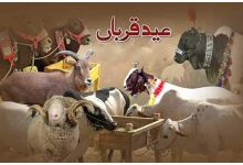 When Is Eid Ul Adha In Pakistan - On The 09th Of July 2022