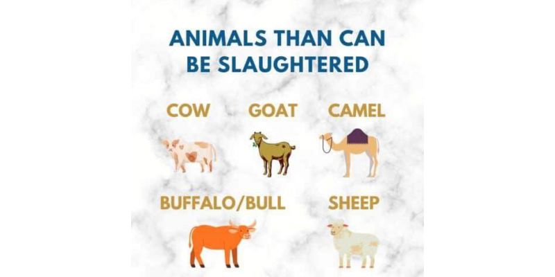 Which animals can be sacrificed on Eid ul Adha